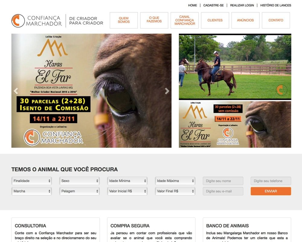 Confiança Marchador - Leilão de Cavalos